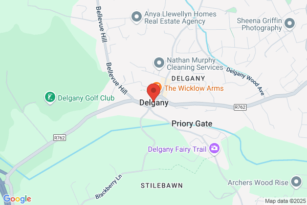 Delgany Inc