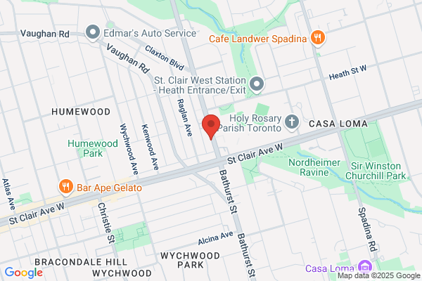 Litvack Willa Dr