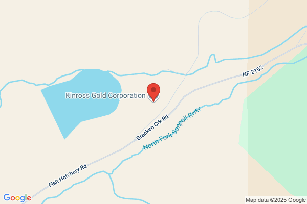 Republic Goldfields Inc