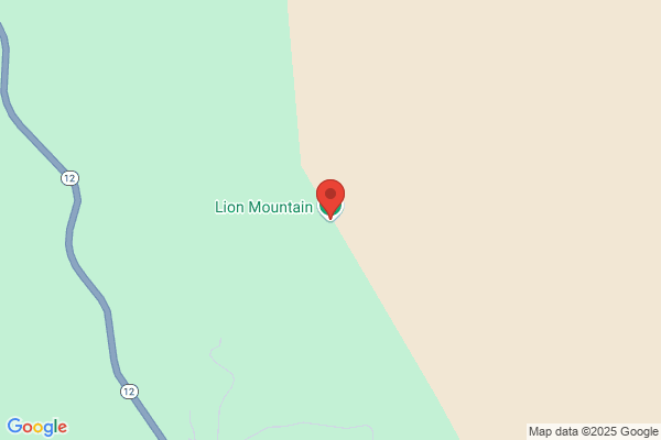 Mountain Lion