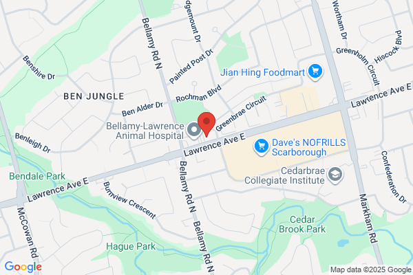 Zellers Inc, Cedarbrae Mall, Pharmacy