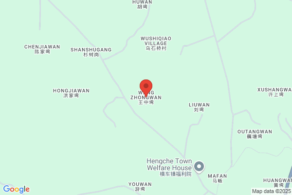 Wang Zhong Wan
