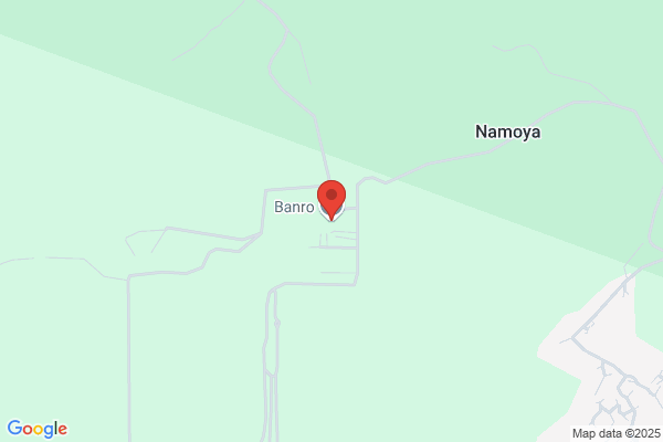 Banro Corporation