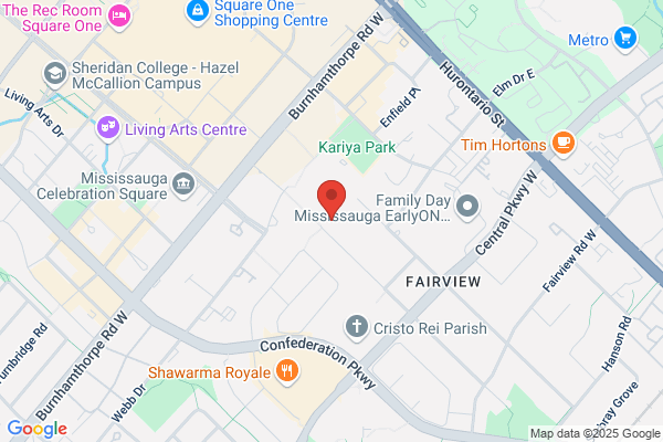 Wisevu Web Design & SEO Toronto