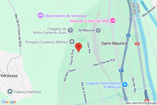 Scouts De La St-Maurice