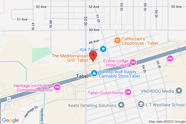 The Mediterranean Grill
