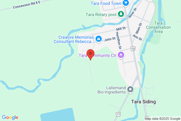 Huron Bay Tree Service