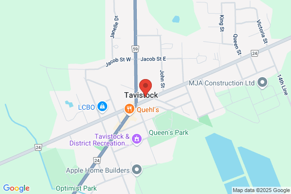Tavistock Veterinary Services Ltd