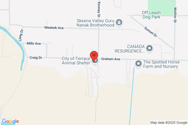 Terrace City of, Development Services