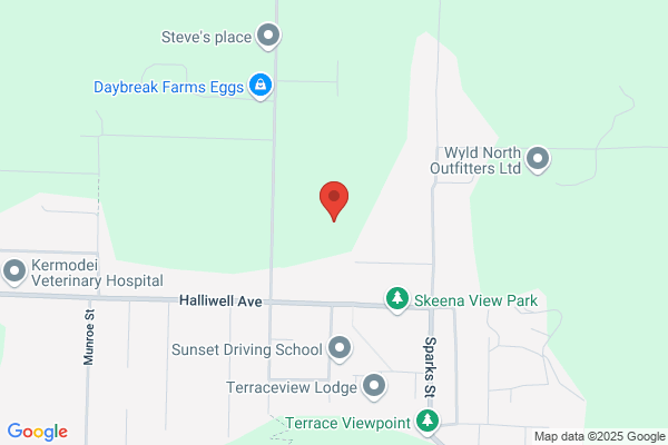 Heenan Tree Service Ltd