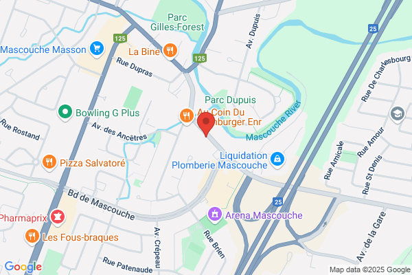 Acupuncture Pineault France