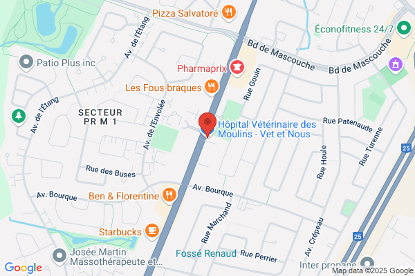 Clinique Vétérinaire De Mascouche