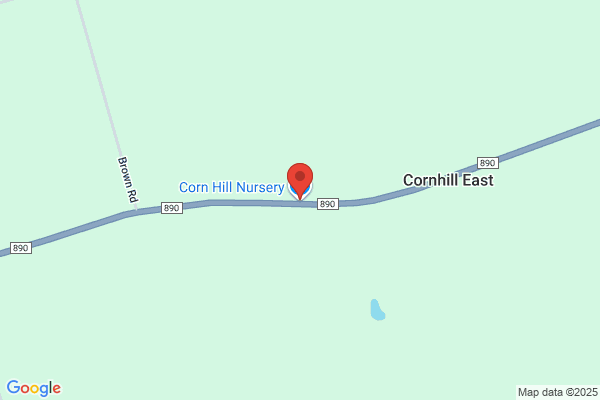 Cornhill Nursery Ltd