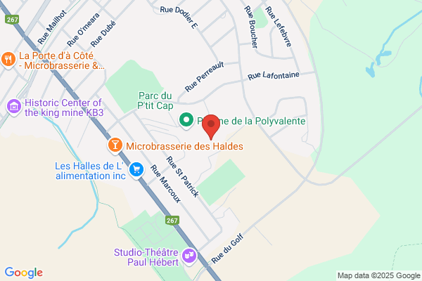 Commission Scolaire De L'amiante, Centres De Formation, Centre De Formation Professionnelle Le Tremplin