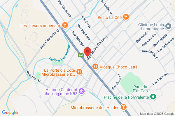 Depanneur Du Coin Enr
