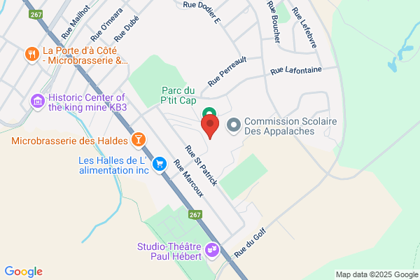 SPECT-ART Comité de Spectacles Thetford Mines