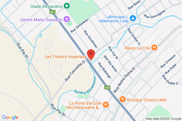 Restaurant Chinois De Thetford Mines Inc
