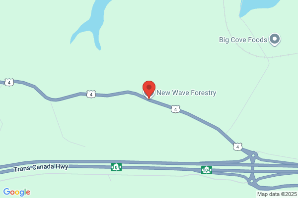 New Wave Forestry Ltd
