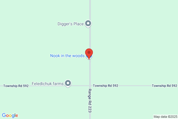 Nook In The Woods
