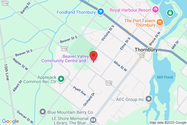 Arenas and Ice Rinks Continued, The Blue Mountains (Town of), Beaver Valley Community Centre