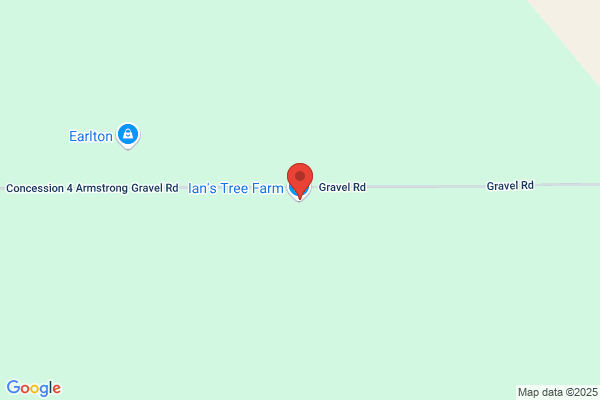 Ian's Tree Service