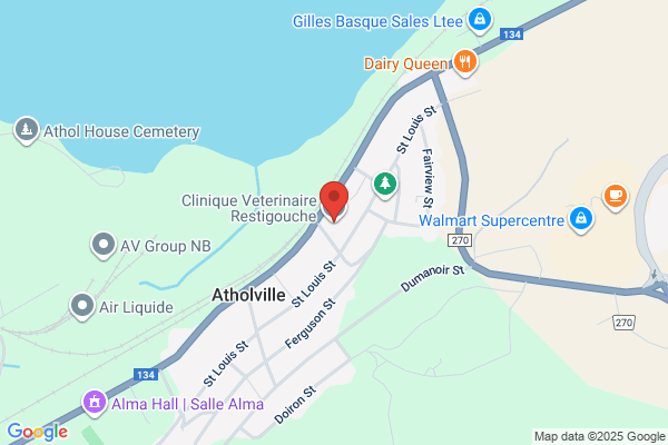Clinique Veterinaire Lepine
