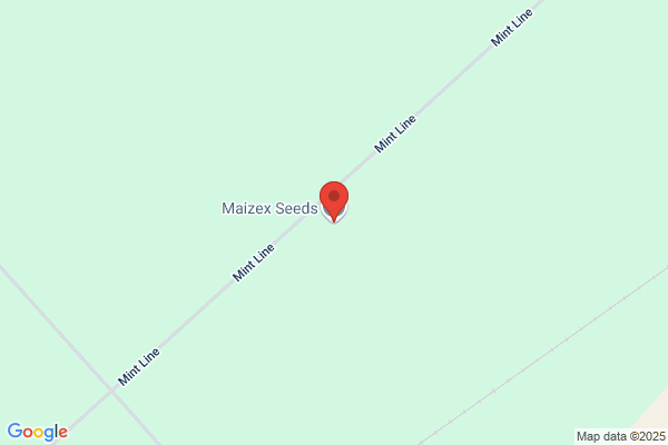 Maizex Inc