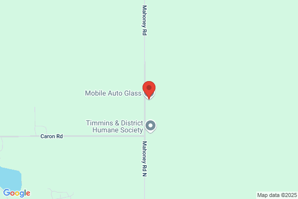 Mobile Auto Glass