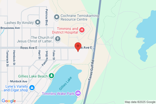 Child & Family Services of Timmins and District, Integrated Services For Northern Children