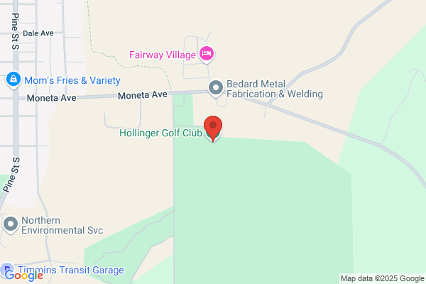 Hollinger Golf Club