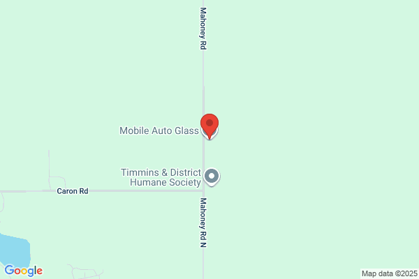 Mobile Auto Sales