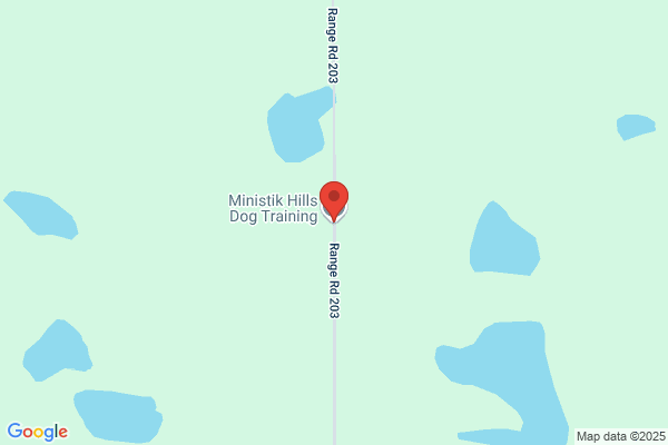 Ministik Hills Dog Training & Consulting