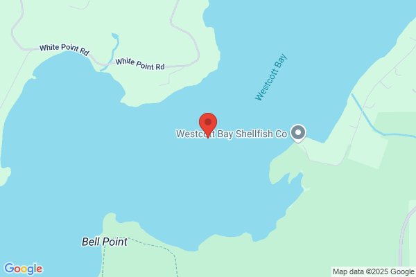 Westcott W A