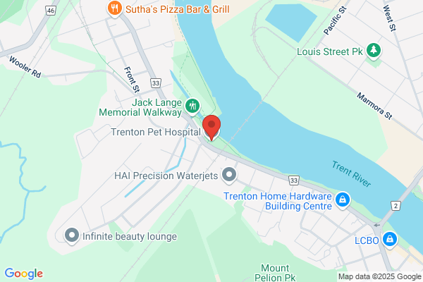 Trenton Pet Hospital