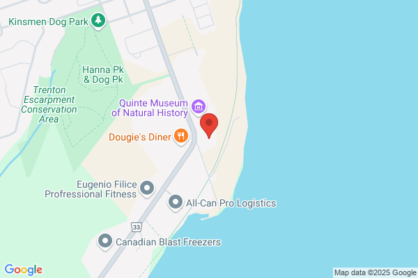 Carquest Auto Parts