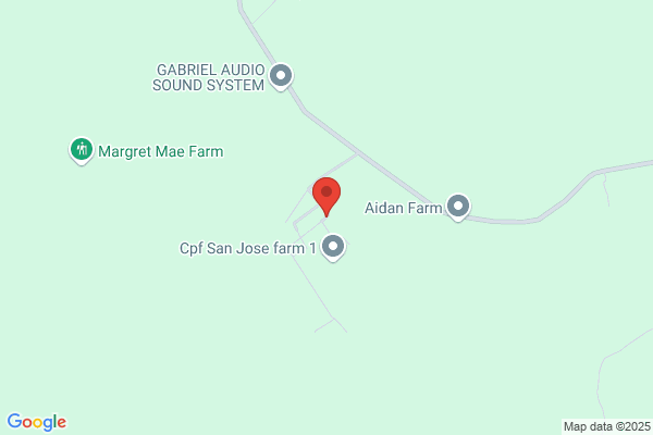 C C Swine Farms Ltd