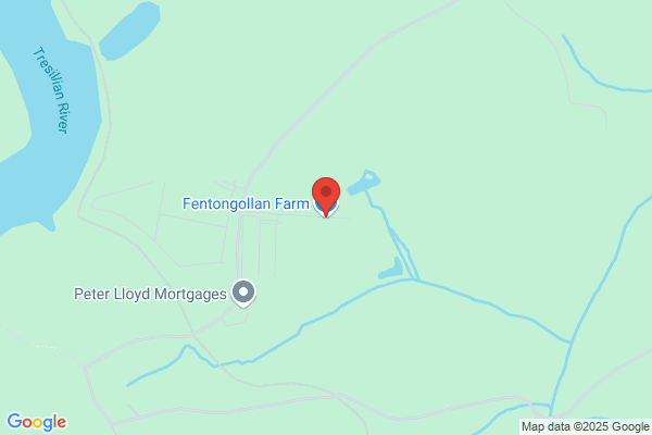 G L Fenton Forestry Ltd