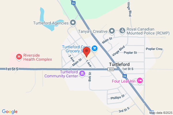 Turtleford Library