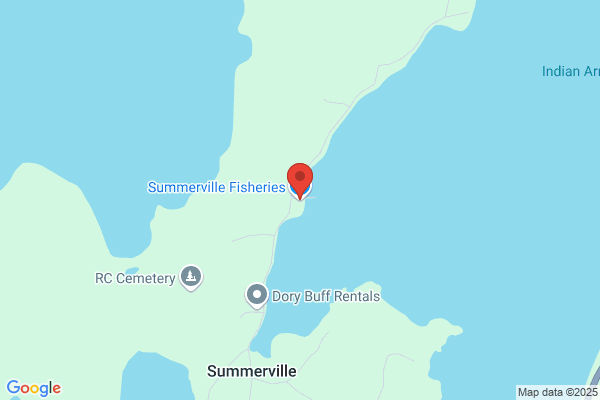 Summerville Fisheries