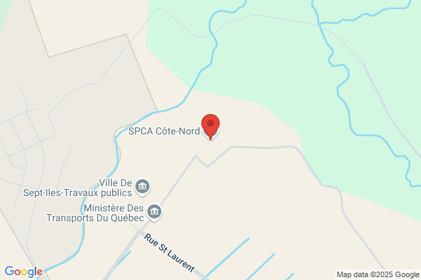 S P C A (Refuge des Animaux)
