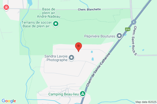 Clinique Acupuncture Ann Michaud
