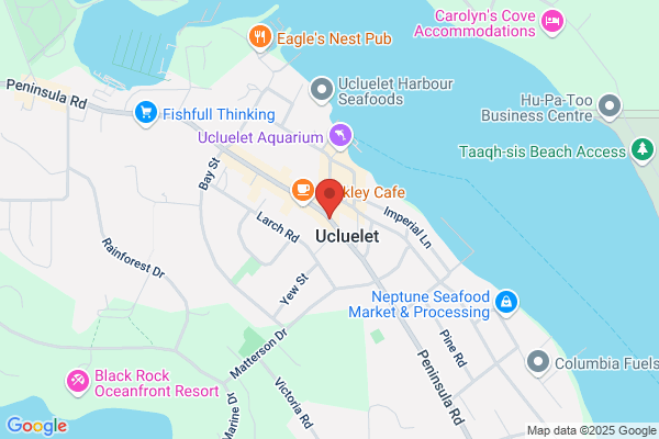 Suuha Charters