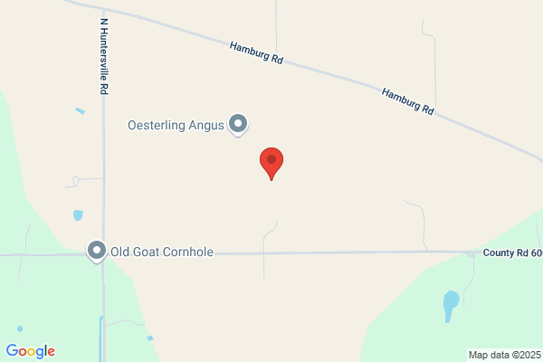 Olco Gas Station
