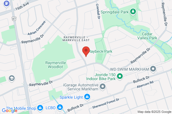 York Region District School Board, Schools, Ramer Wood Public School