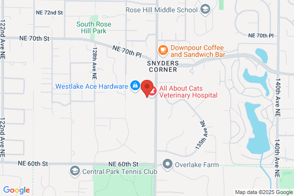 Bridle Trail Family Chiropractic
