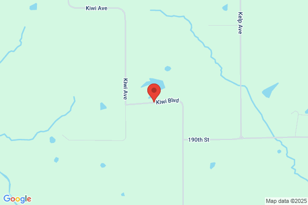 KIWI B.L.