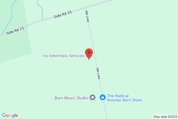 Ivy Veterinary Services