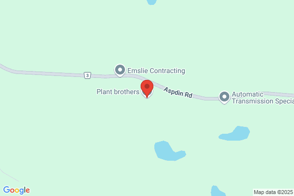 Plant Brothers