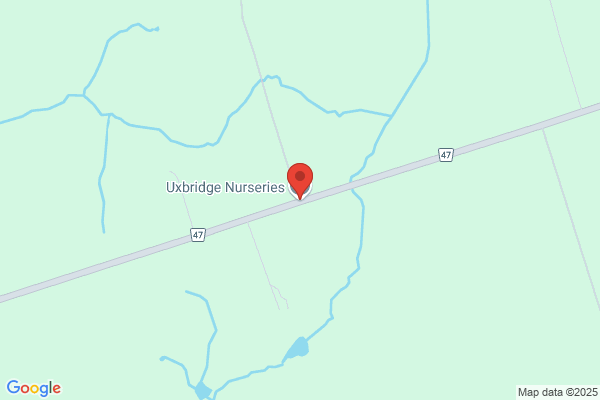 Uxbridge Nurseries Limited