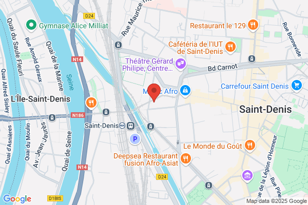 Salon St-Denis, Aesthetics